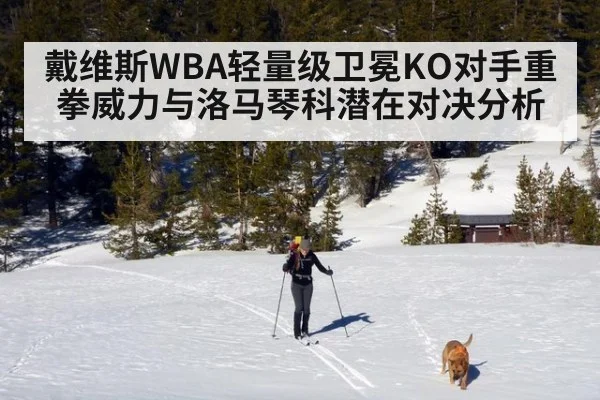 戴维斯WBA轻量级卫冕KO对手重拳威力与洛马琴科潜在对决分析