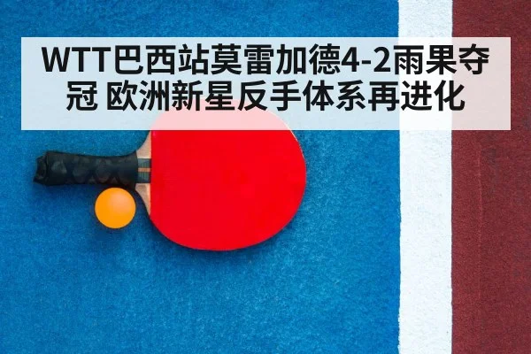 table tennis racket